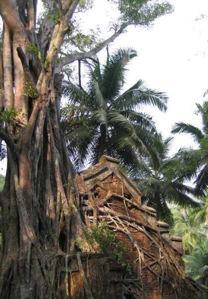 Ross Island - Krankenhaus