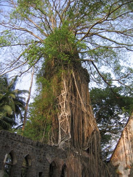 Ross Island - Kirchturm