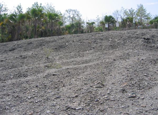 Baratang - Schlammvulkan