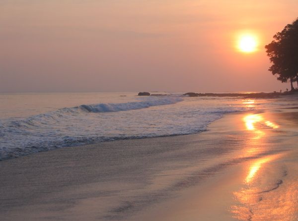 Havelock - Strand # 7