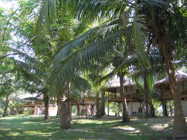 Havelock - Huetten direkt bei der Tauchbasis