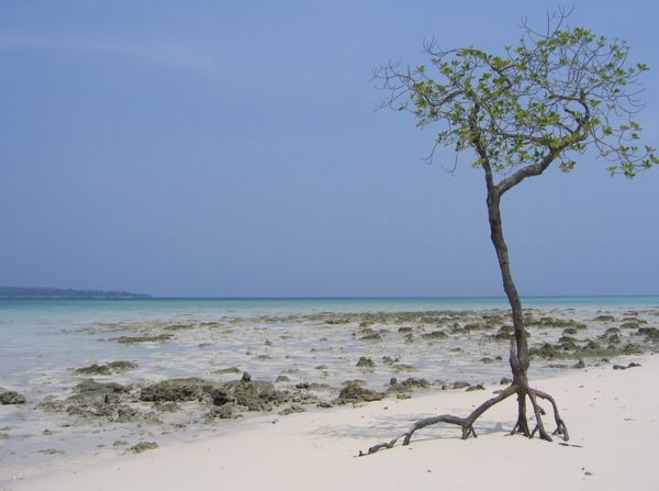 Havelock - Strand bei der Tauchbasis bei Ebbe