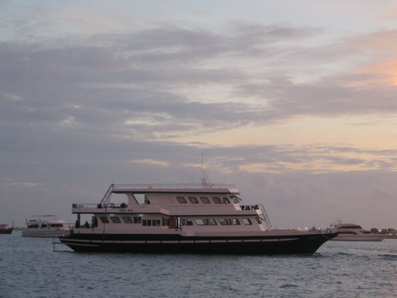 Our dive boat, the Stingray