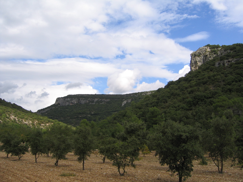 Combe de Font Jouvale